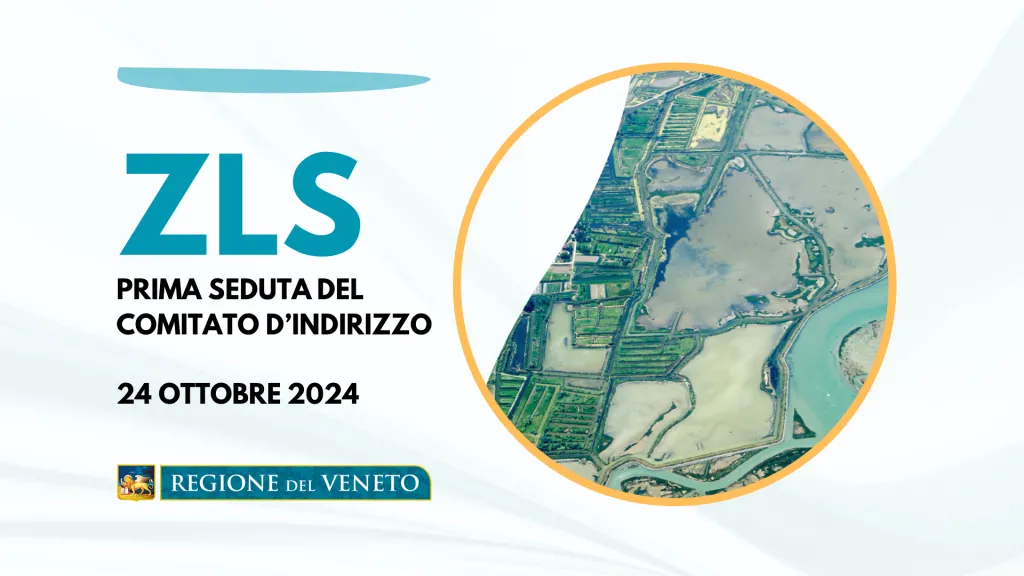 Presentazione Comitato di indirizzo